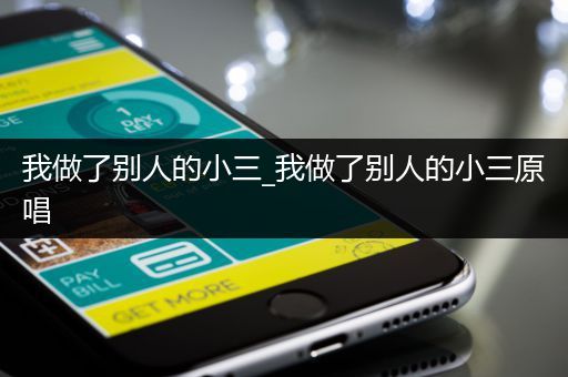 我做了别人的小三_我做了别人的小三原唱